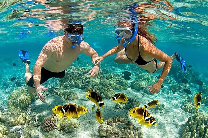Diving Spots Cartagena
