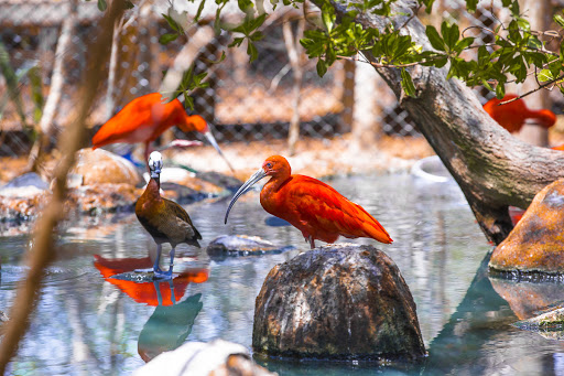 Fun Activities for Animal lovers in Cartagena